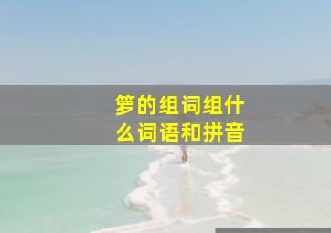 箩的组词组什么词语和拼音