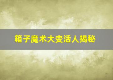 箱子魔术大变活人揭秘