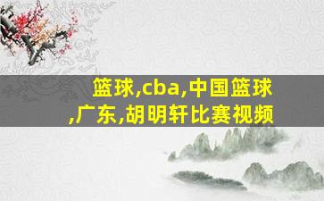 篮球,cba,中国篮球,广东,胡明轩比赛视频