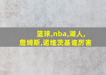 篮球,nba,湖人,詹姆斯,诺维茨基谁厉害