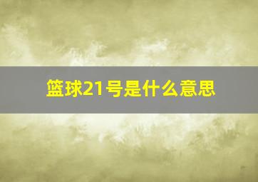 篮球21号是什么意思