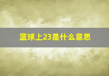 篮球上23是什么意思