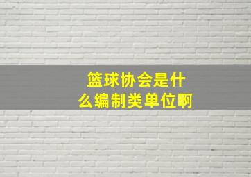 篮球协会是什么编制类单位啊