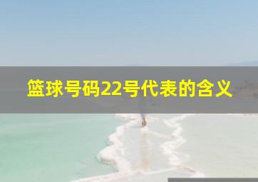 篮球号码22号代表的含义