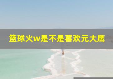 篮球火w是不是喜欢元大鹰