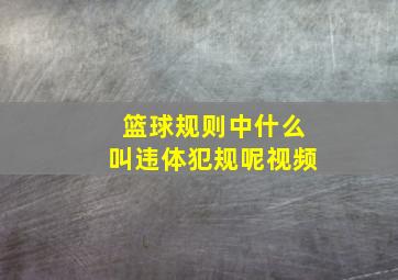 篮球规则中什么叫违体犯规呢视频