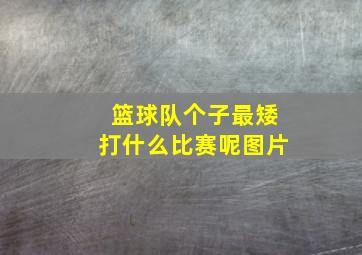 篮球队个子最矮打什么比赛呢图片