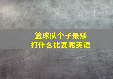 篮球队个子最矮打什么比赛呢英语