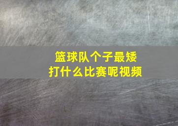 篮球队个子最矮打什么比赛呢视频