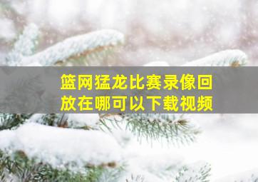 篮网猛龙比赛录像回放在哪可以下载视频