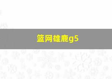 篮网雄鹿g5