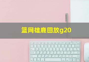 篮网雄鹿回放g20