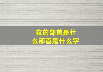 粒的部首是什么部首是什么字