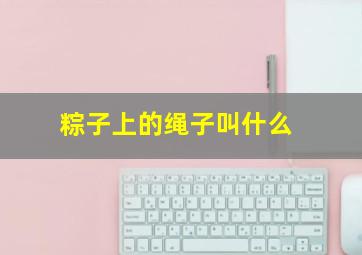 粽子上的绳子叫什么