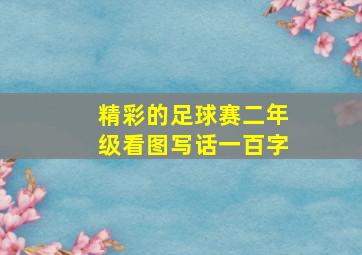 精彩的足球赛二年级看图写话一百字