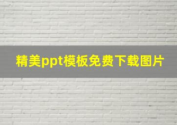 精美ppt模板免费下载图片