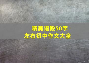 精美语段50字左右初中作文大全