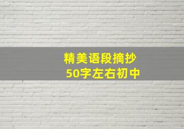 精美语段摘抄50字左右初中