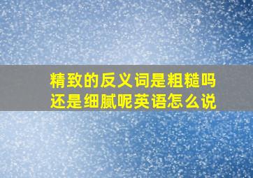 精致的反义词是粗糙吗还是细腻呢英语怎么说