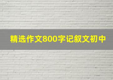 精选作文800字记叙文初中