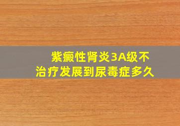 紫癜性肾炎3A级不治疗发展到尿毒症多久