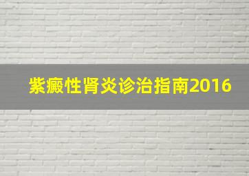 紫癜性肾炎诊治指南2016