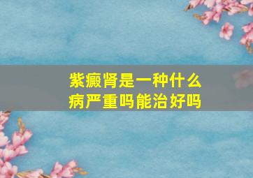 紫癜肾是一种什么病严重吗能治好吗