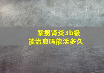 紫癜肾炎3b级能治愈吗能活多久