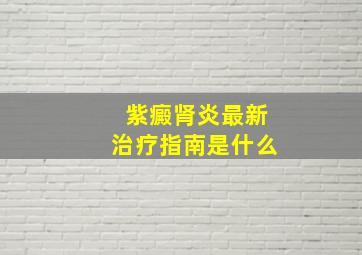 紫癜肾炎最新治疗指南是什么