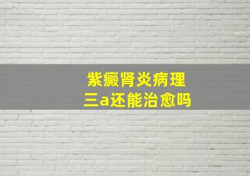 紫癜肾炎病理三a还能治愈吗