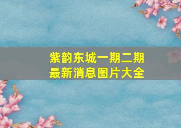 紫韵东城一期二期最新消息图片大全