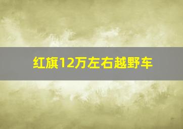 红旗12万左右越野车