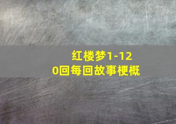 红楼梦1-120回每回故事梗概