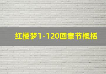 红楼梦1-120回章节概括