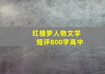 红楼梦人物文学短评800字高中