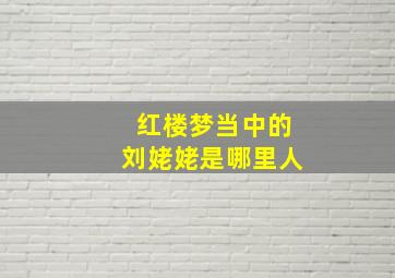 红楼梦当中的刘姥姥是哪里人