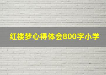 红楼梦心得体会800字小学