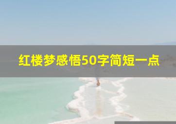 红楼梦感悟50字简短一点