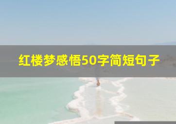 红楼梦感悟50字简短句子