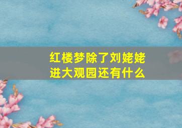 红楼梦除了刘姥姥进大观园还有什么