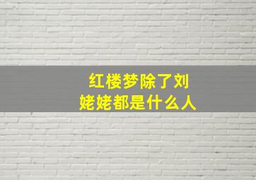 红楼梦除了刘姥姥都是什么人