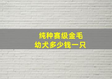 纯种赛级金毛幼犬多少钱一只