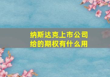 纳斯达克上市公司给的期权有什么用