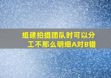 组建拍摄团队时可以分工不那么明细A对B错