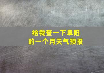 给我查一下阜阳的一个月天气预报