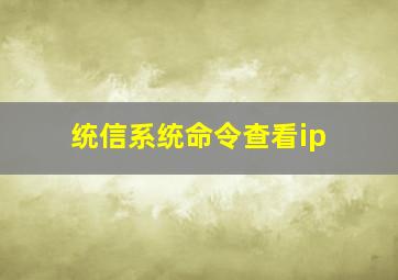 统信系统命令查看ip