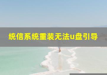 统信系统重装无法u盘引导