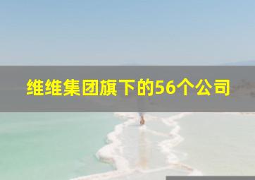 维维集团旗下的56个公司