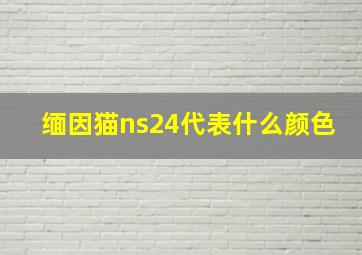 缅因猫ns24代表什么颜色