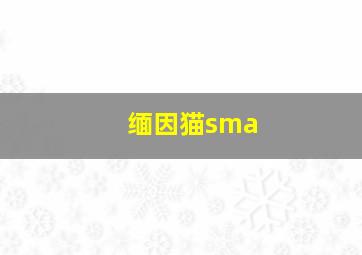 缅因猫sma